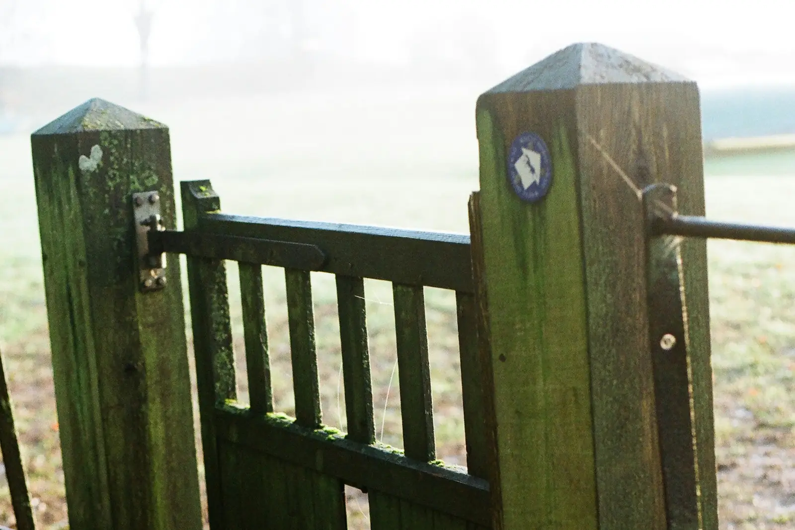 Weathered timber gate with a broken board in need of repair
