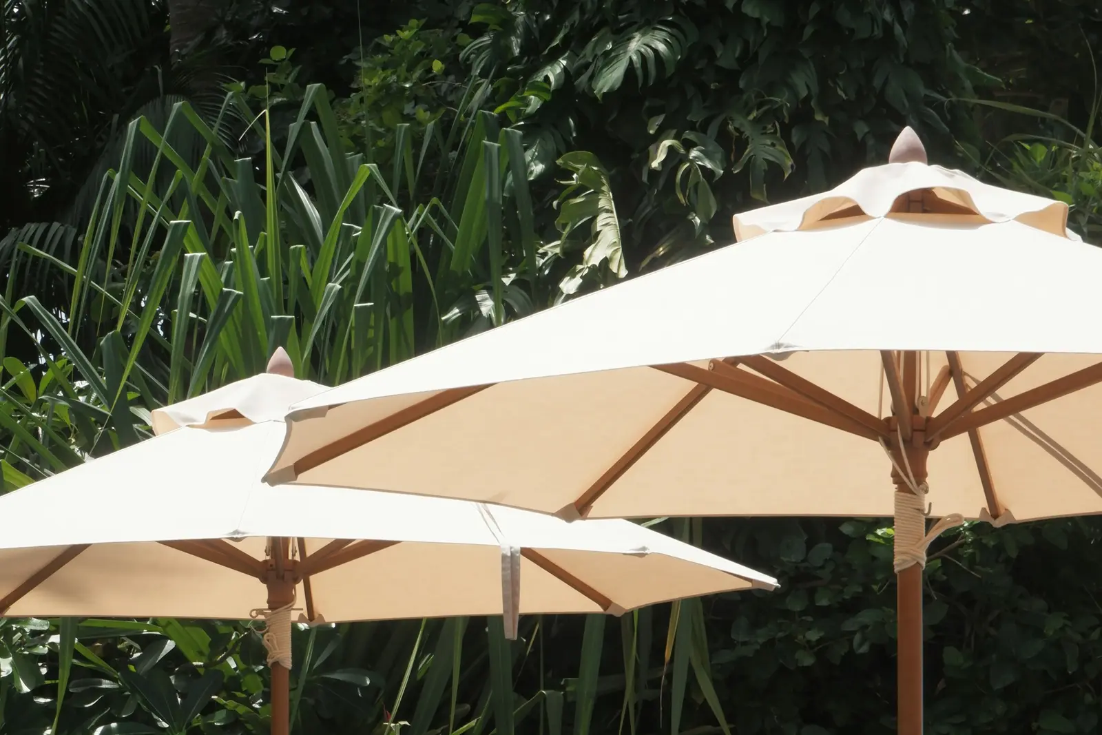 Cream garden parasols over sun loungers beside lush planting