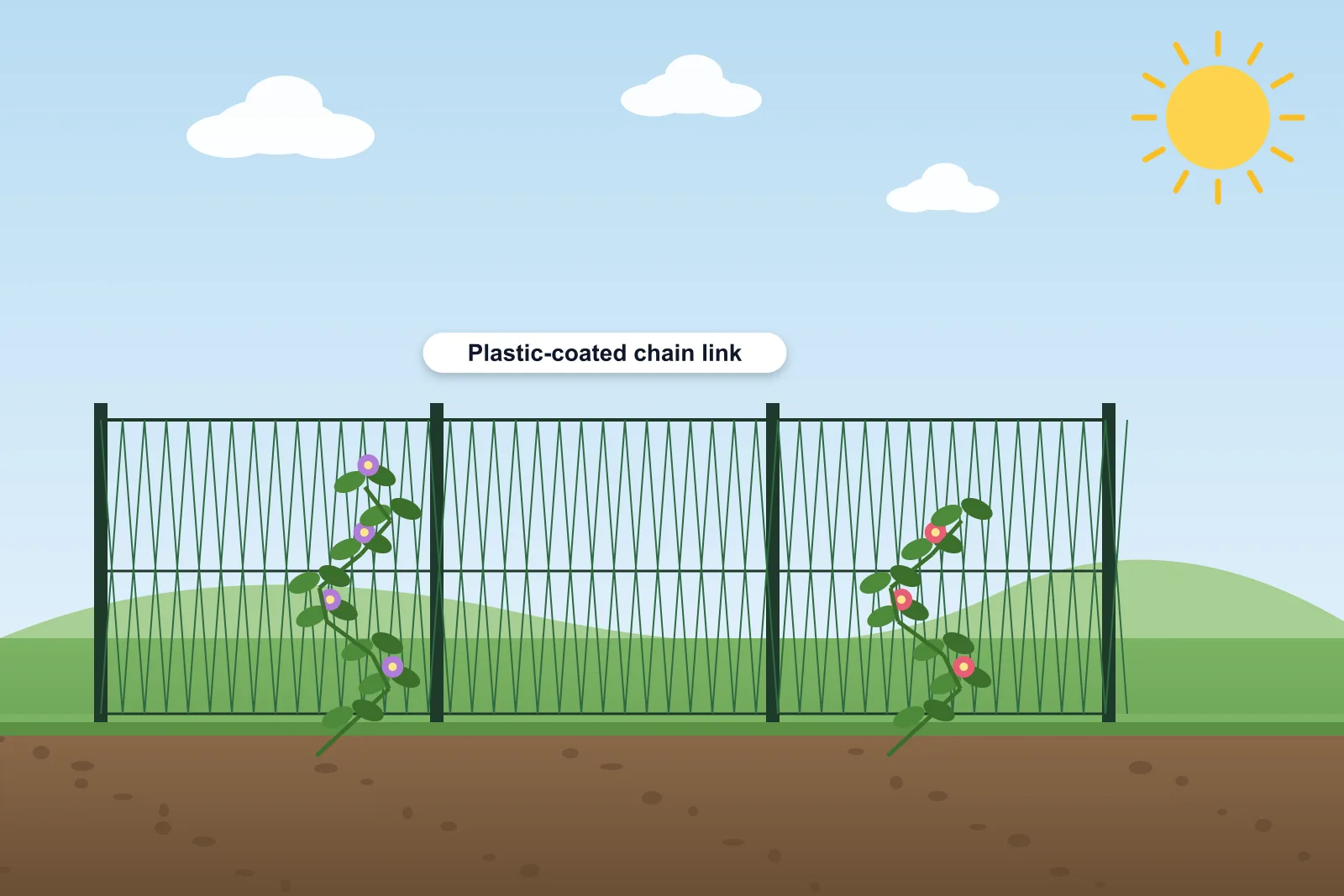 Illustration of a green plastic-coated chain link fence on metal posts along a garden boundary with climbing plants starting to cover it