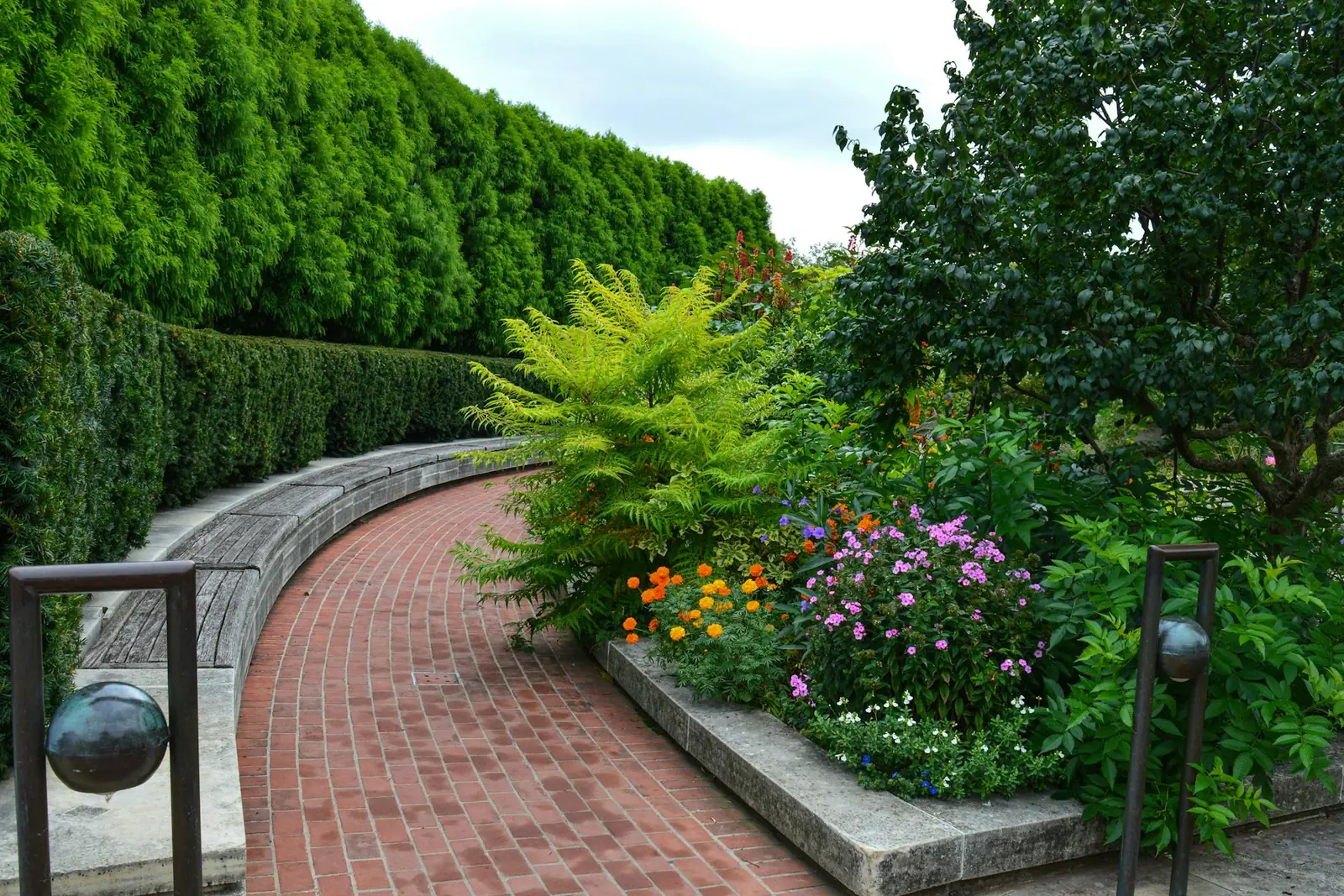 Curving brick garden path through landscaped planting