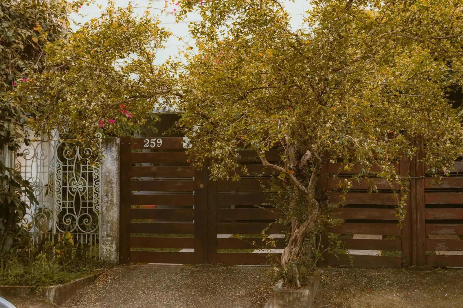 Modern horizontal slatted timber gate beside a house