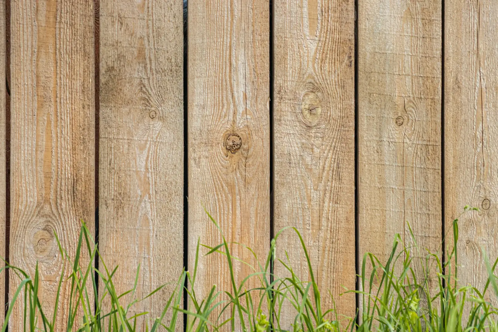 Close-up of new timber fence boards above the grass