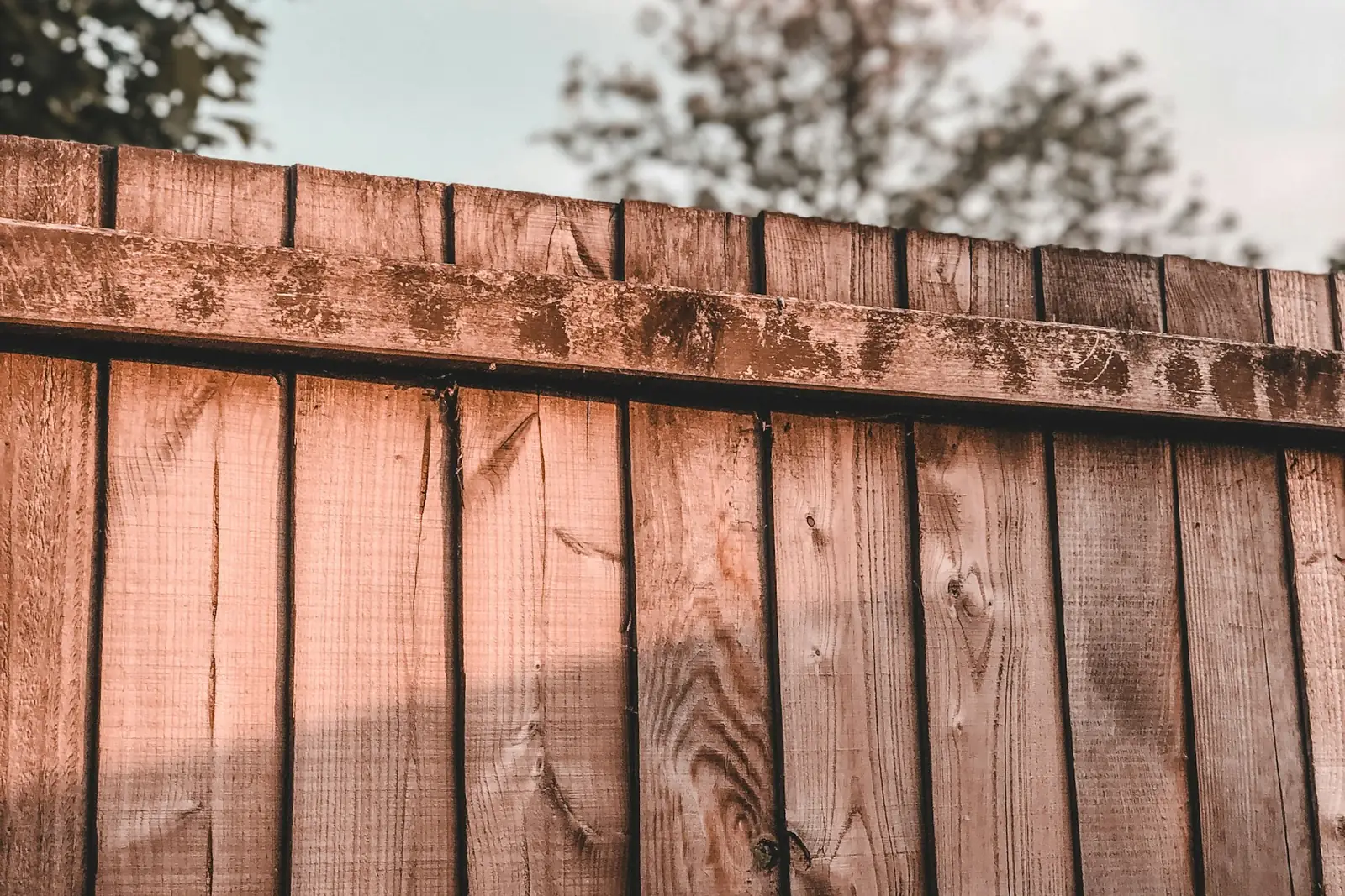 Top of a feather edge fence with capping rail