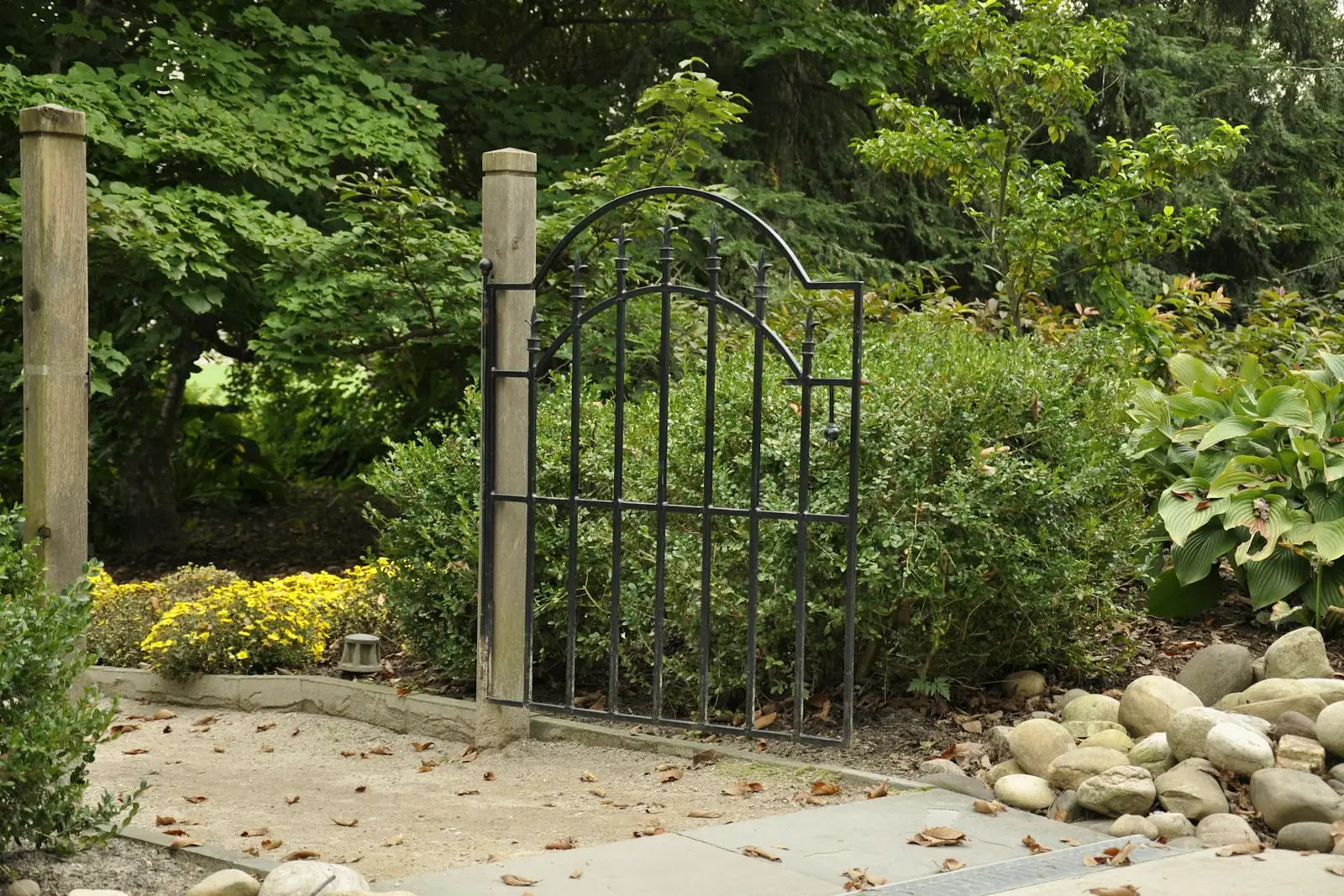 Black metal garden gate leading into a planted garden