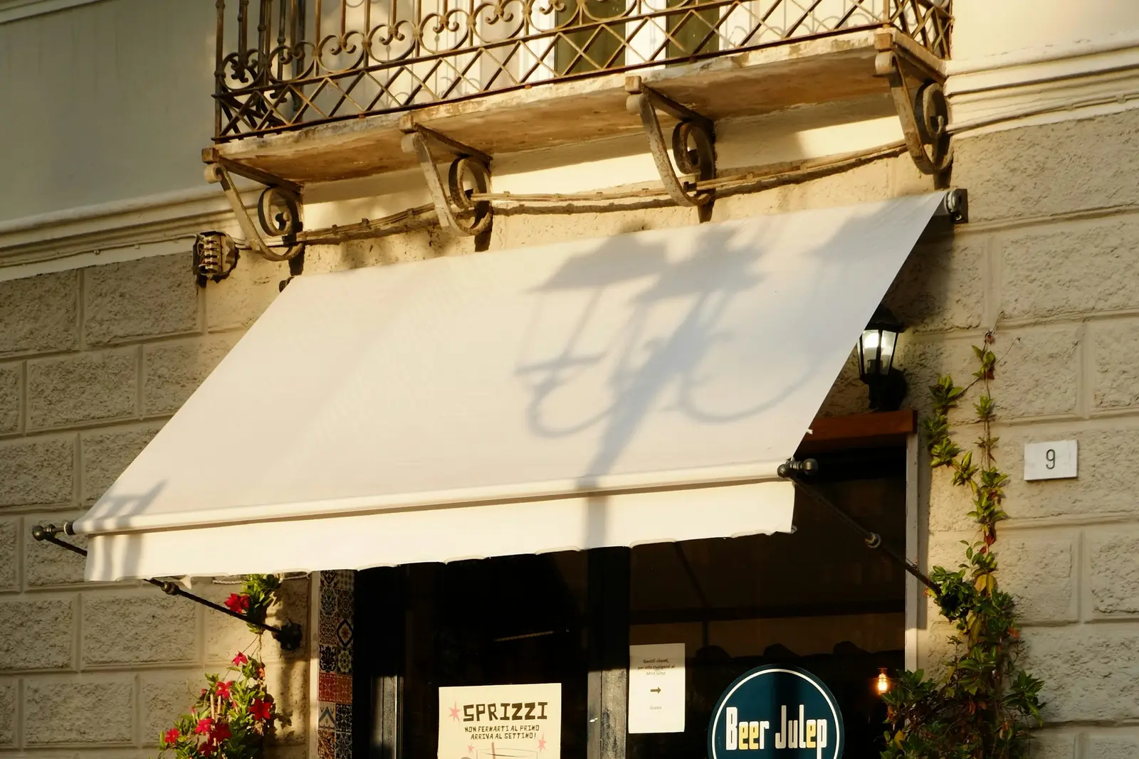 White retractable awning extended over a shopfront with climbing plants